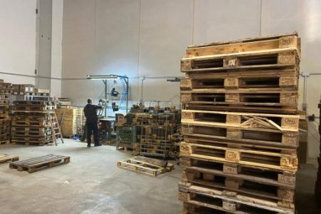 F.B.S. Pallets srls (2)